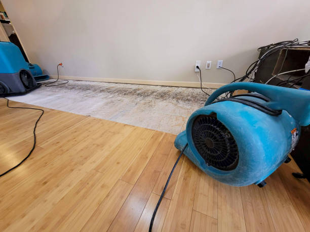 Professional Water Removal technician working in Three Rivers, OR